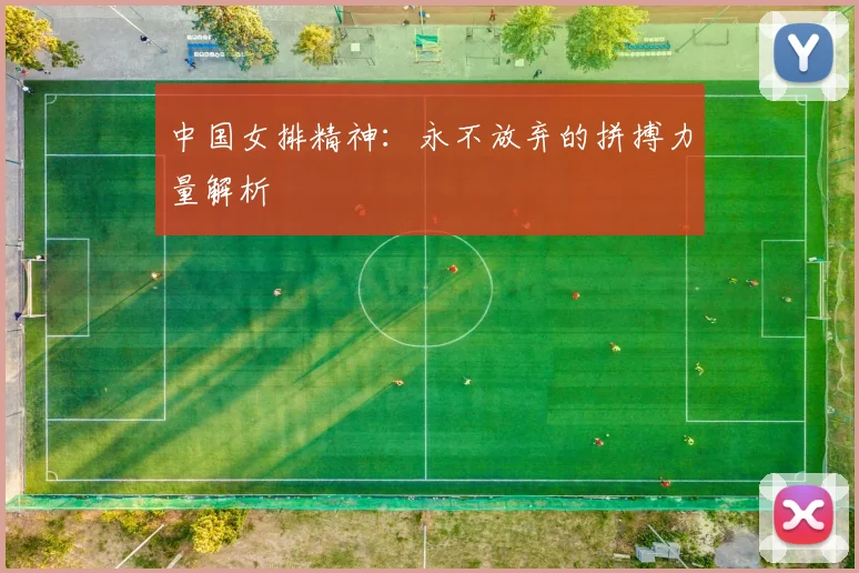 中国女排精神：永不放弃的拼搏力量解析